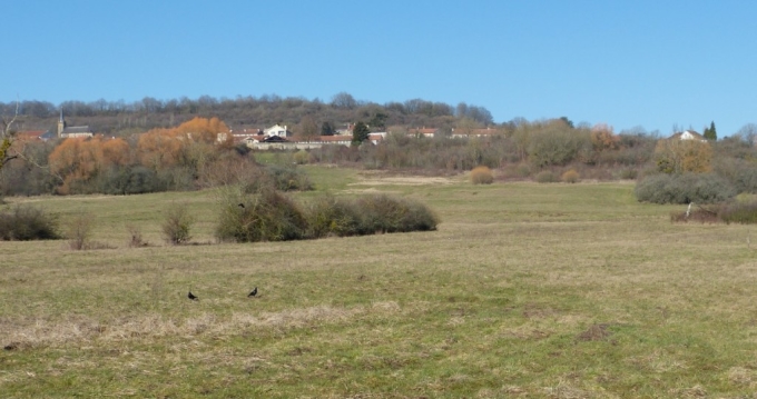 Compte rendu de la présentation publique du futur parc du Coteau